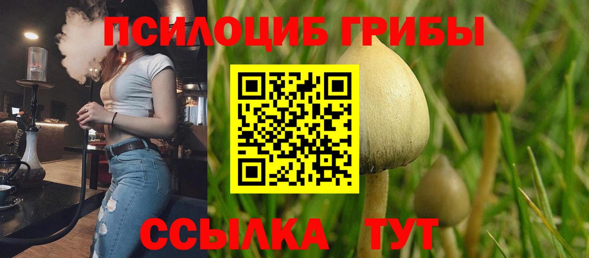 Туапсе  Псилоцибиновые грибы мицелий  Вход с VPN 
